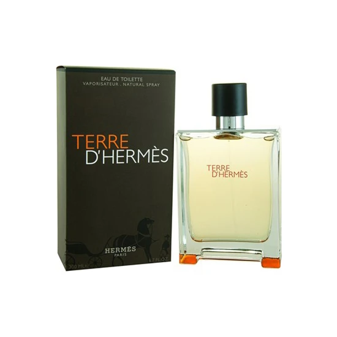 Hermes Terre D'Hermes Edt